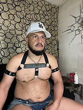 the master foal  online show from 03.11.26