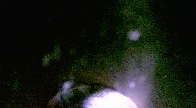 h0ney lips online show from 03.01.25