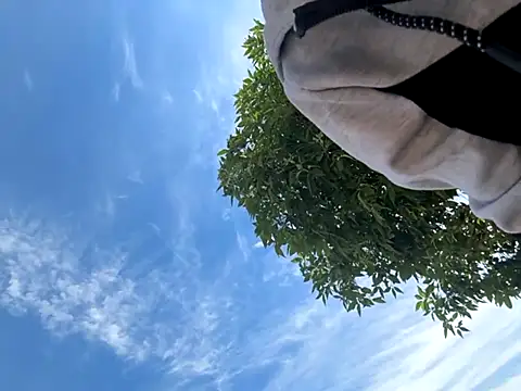 kingdennis6666 online show from 09.17.25