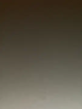 ToysRus24 online show from 01.22.25