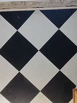 Rini333 online show from 03.04.26