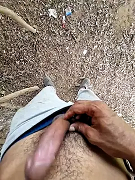 Snapshot of breejs chatting on 09.27.25 breejs online show from 09.27.25