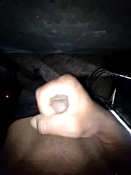 Snapshot of breejs chatting on 10.28.25 breejs online show from 10.28.25