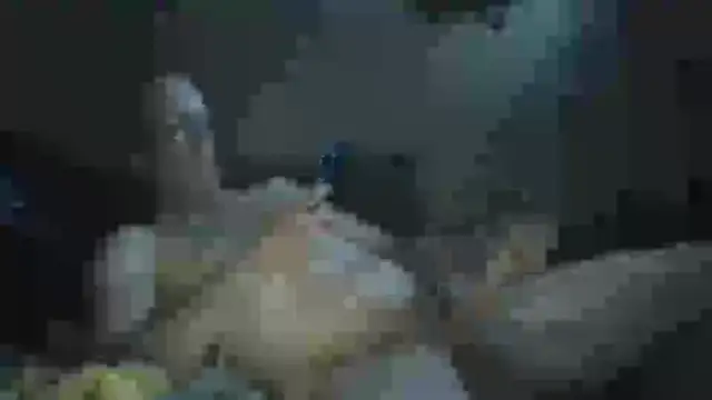 Snapshot of Wyley@xh chatting on 09.23.25 Wyleyxh online show from 09.23.25