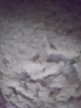 king-lobo-act online show from 10.29.25