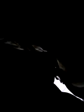 74bob online show from 09.21.25