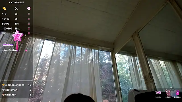 PixieLand online show from 01.29.25