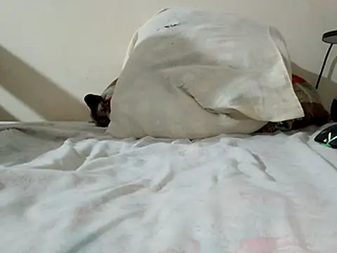 JamesQuaresma online show from 02.11.26