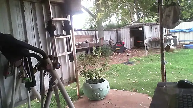 herbie010666 online show from 02.03.26