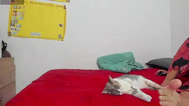 Hela wet online show from 11.24.25