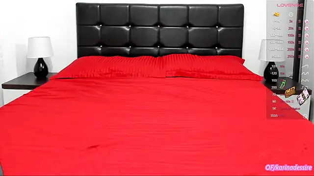 karinamadnessdesiree online show from 01.11.25