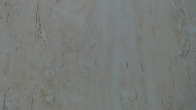 Crazy team  online show from 12.27.24