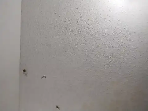 247Srokin online show from 04.01.26