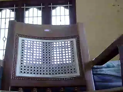 reegan889 online show from 01.17.26