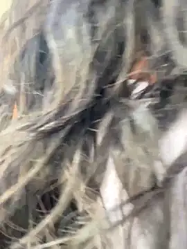 bea3liz online show from 12.18.24