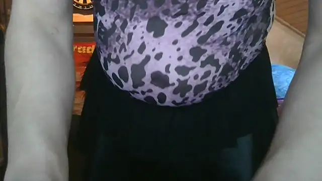 SchwanzlochStute online show from 04.18.26