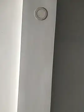 ElsecretodeBruno online show from 02.18.25