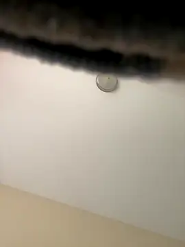 Iced cloudz online show from 12.14.25