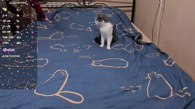 eva zero online show from 03.03.26