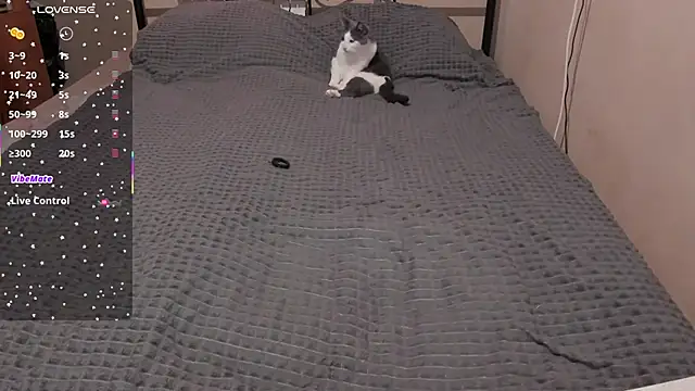 eva zero online show from 03.28.26