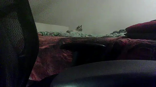 OralDesires2 online show from 02.19.25