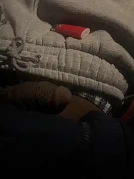 dingoding online show from 02.22.25