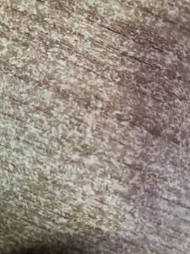 Snapshot of gokhanbey34 chatting on 10.08.25 gokhanbey34 online show from 10.08.25