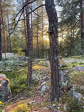 Andreashow online show from 10.19.25