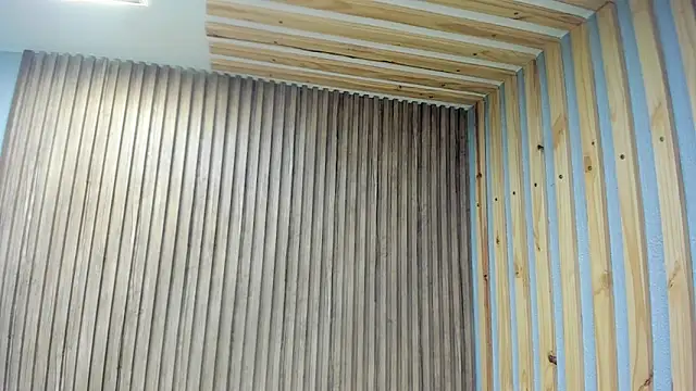 SebastianMaximoff online show from 12.20.24