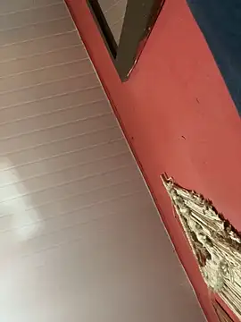 pimenta gaby online show from 10.18.25