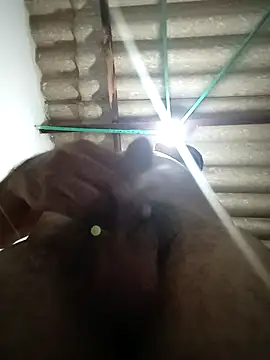 Diosymar  online show from 01.16.26