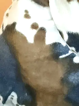 Diya 143 online show from 01.07.26