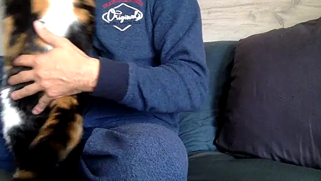 curioushetero online show from 02.27.25