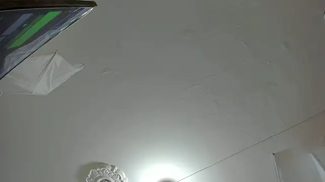 KendalStallyon online show from 12.08.24