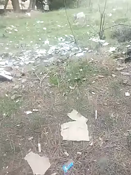 Snapshot of K-27 chatting on 01.01.25 K-27 online show from 01.01.25