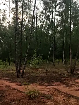 Gopal1243 online show from 10.09.25