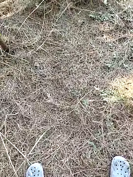 Gopal1243 online show from 01.09.26