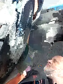 DigiSpankz online show from 09.11.25