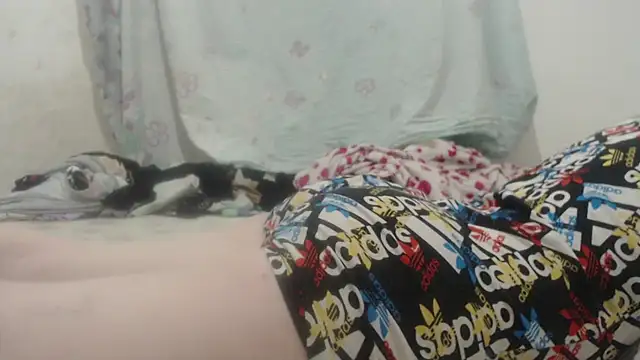Snapshot of Kittywhiteass chatting on 03.16.25 Kittywhiteass online show from 03.16.25