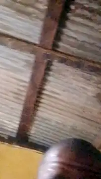 LULE37587001 online show from 03.18.26