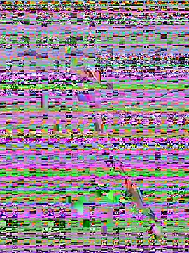 sahorix1 online show from 02.20.26