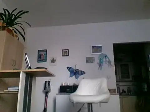 82liska online show from 11.28.25