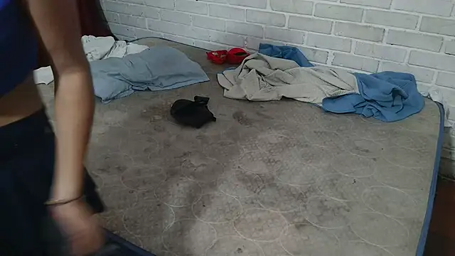 valeriaswang Lucas online show from 11.25.25