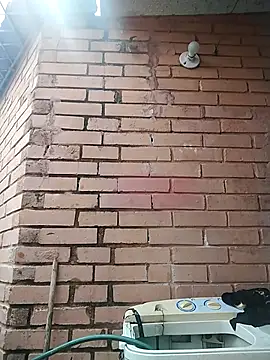 valeriaswang Lucas online show from 12.04.25