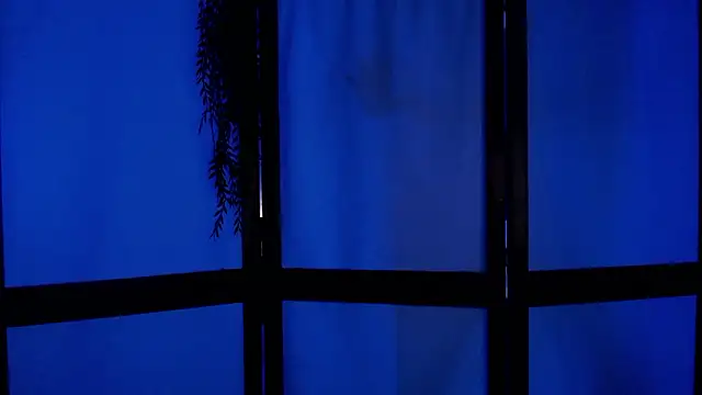 Snapshot of Wildorchid_ chatting on 12.02.24 Wildorchid  online show from 12.02.24