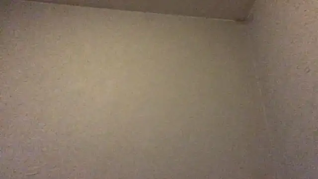 mondo29 online show from 02.27.25