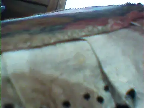 Snapshot of messi_syssy chatting on 02.25.25 messi syssy online show from 02.25.25
