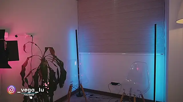 vegaa luck online show from 12.28.24