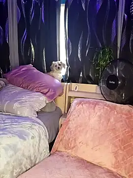 Snapshot of SexyNikki6969 chatting on 03.31.26 SexyNikki6969 online show from 03.31.26