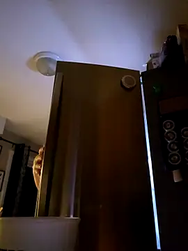 Snapshot of SexyNikki6969 chatting on 04.16.26 SexyNikki6969 online show from 04.16.26